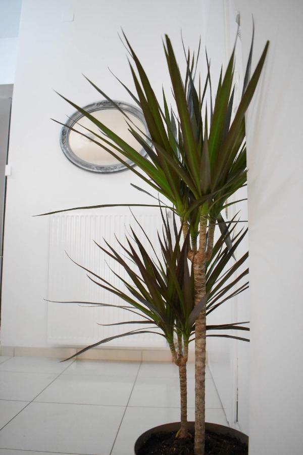 4Seasons Apartment Thíva Kültér fotó